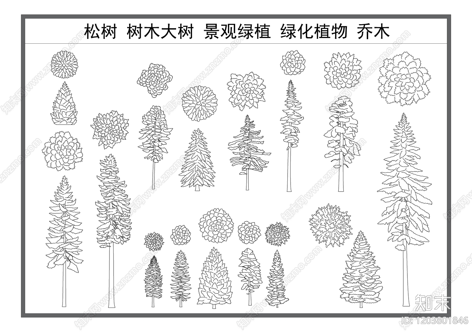 乔木种植施工图下载【ID:1203801846】