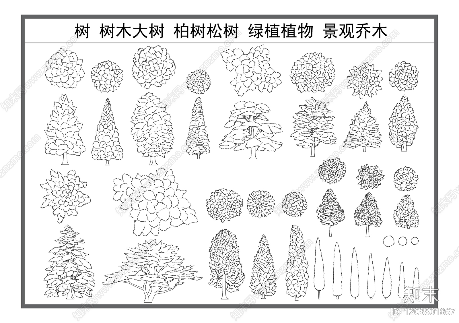 乔木种植施工图下载【ID:1203801867】