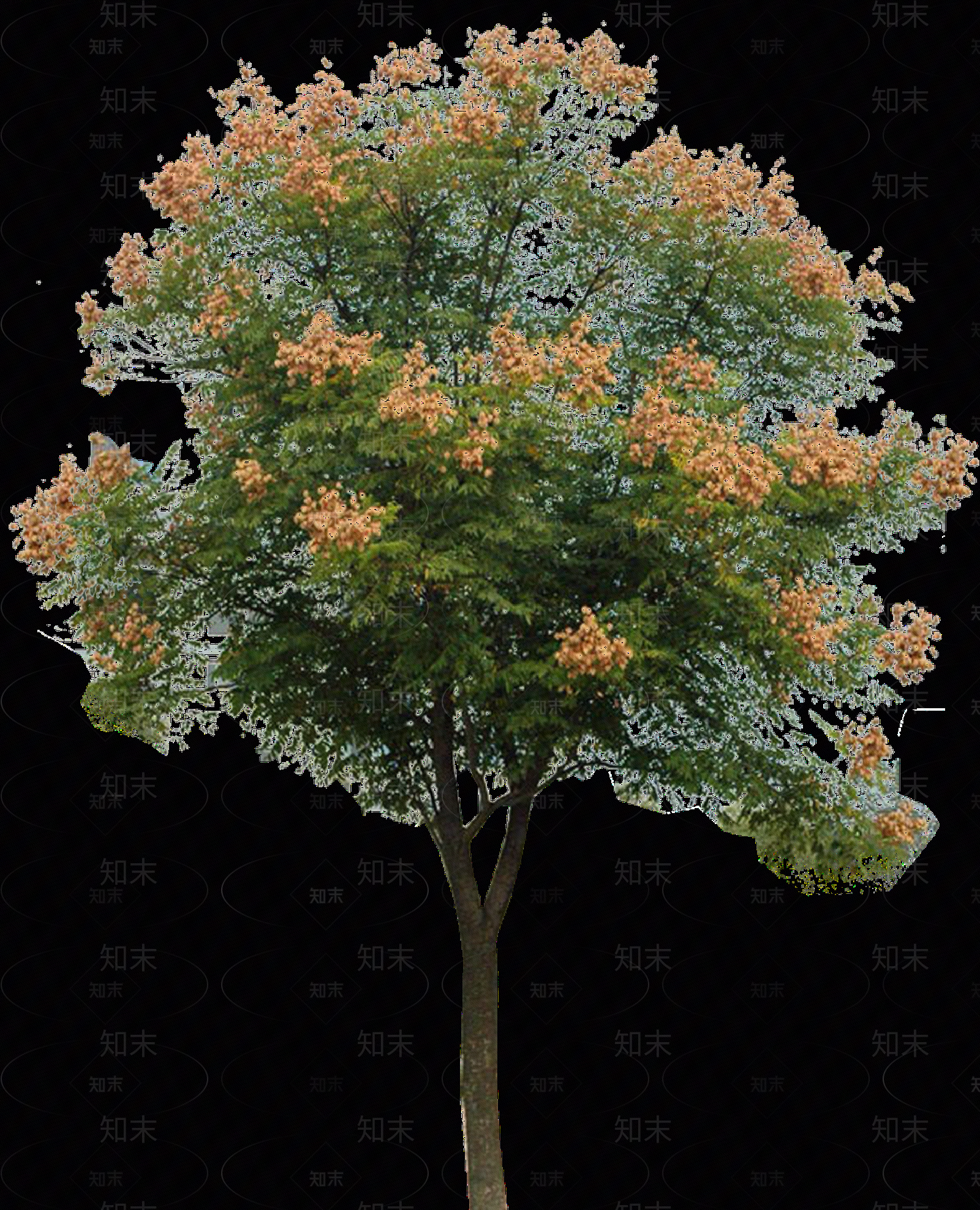 现代其它HDR贴图下载【ID:1203861771】