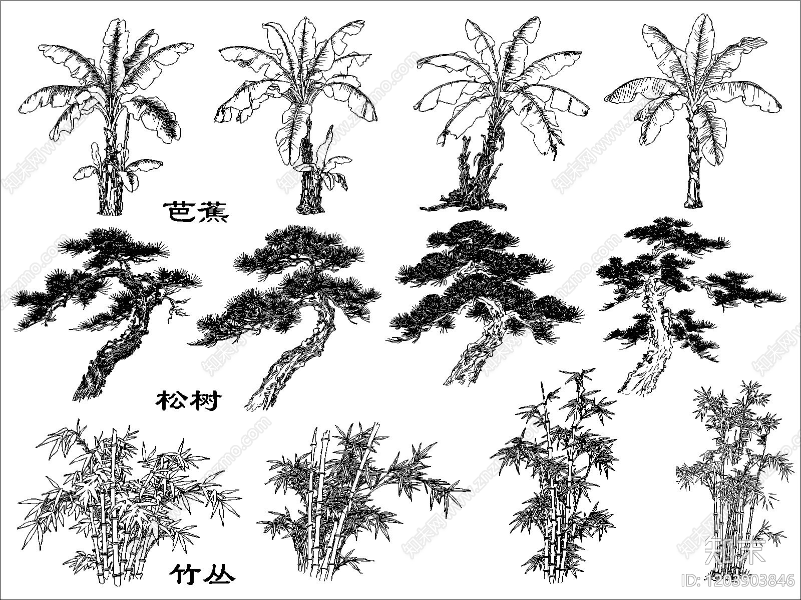 现代绿植cad施工图下载【ID:1203903846】