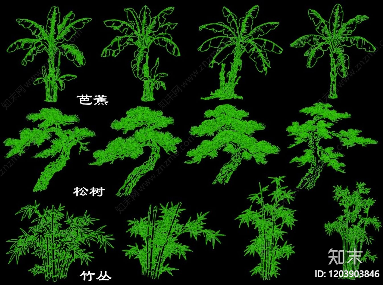 现代绿植cad施工图下载【ID:1203903846】
