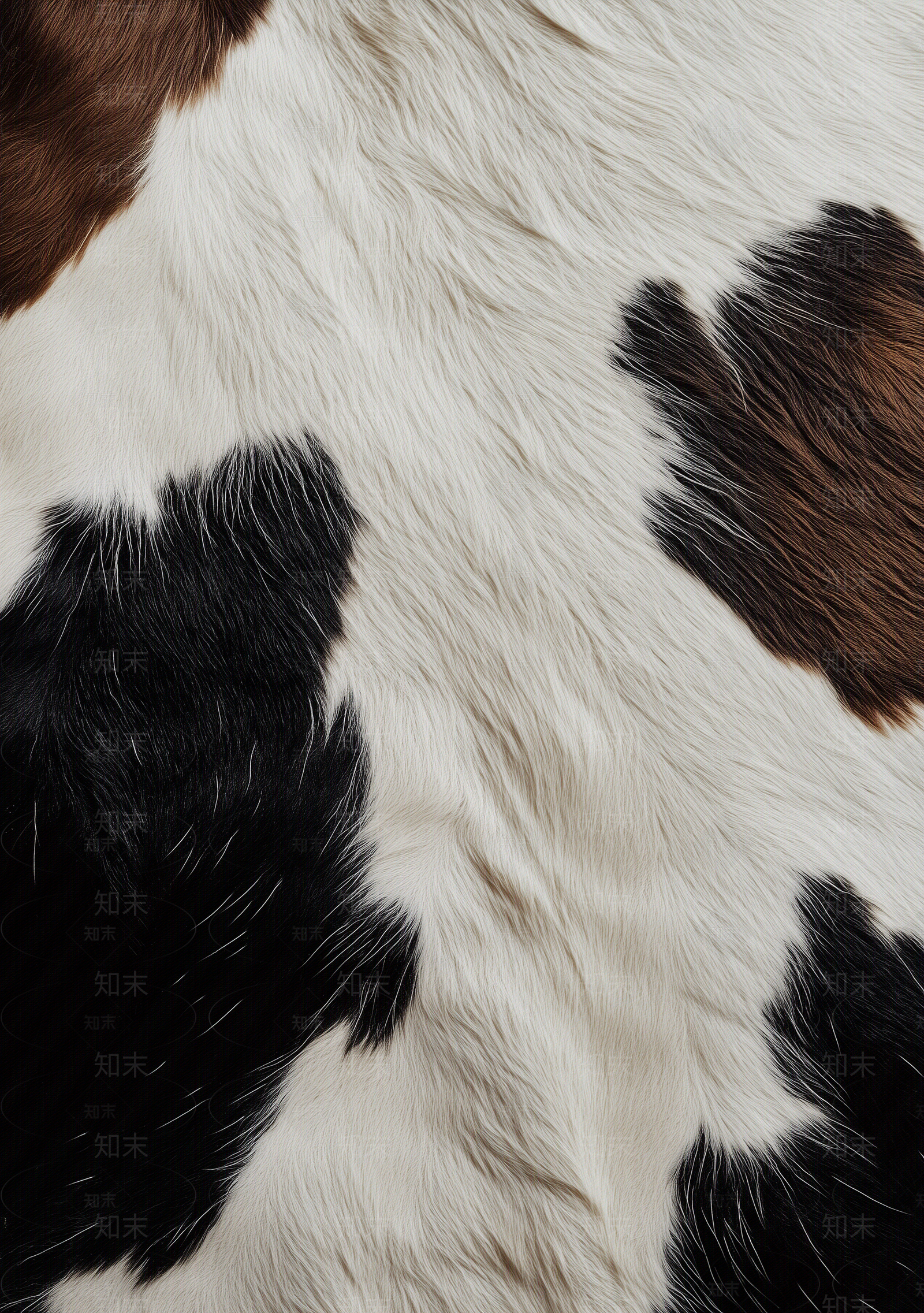 现代意式动物皮毛贴图下载【ID:1203978320】