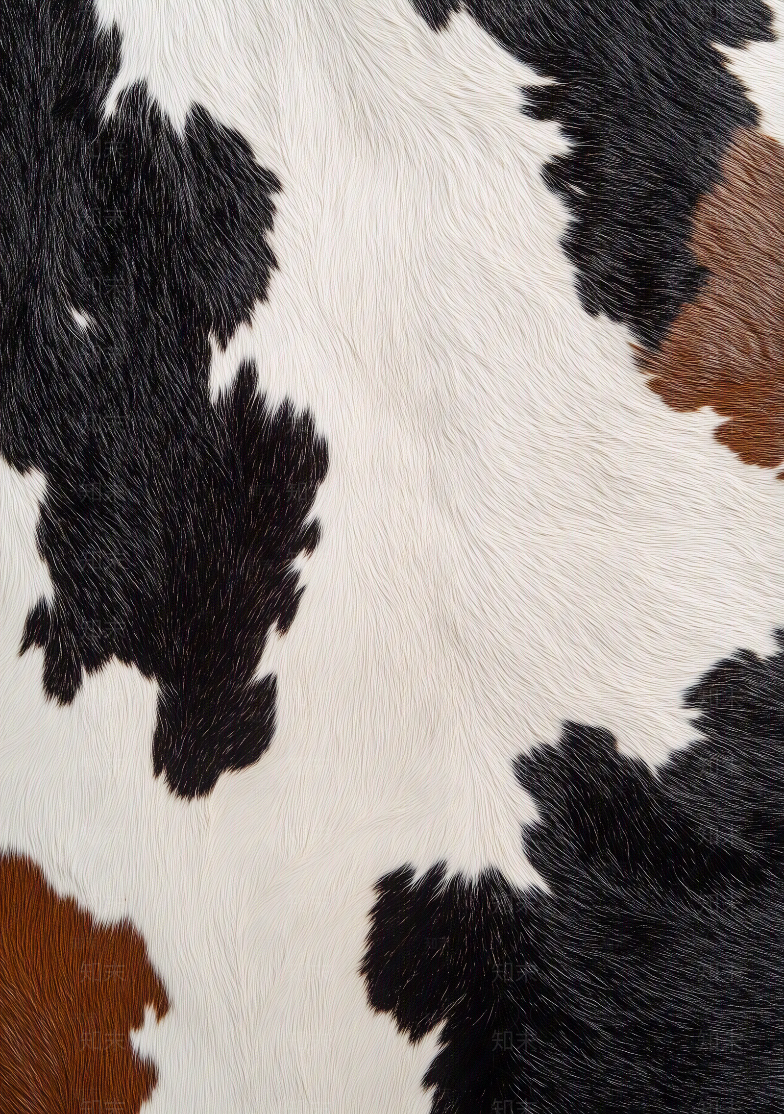 现代意式动物皮毛贴图下载【ID:1203978543】