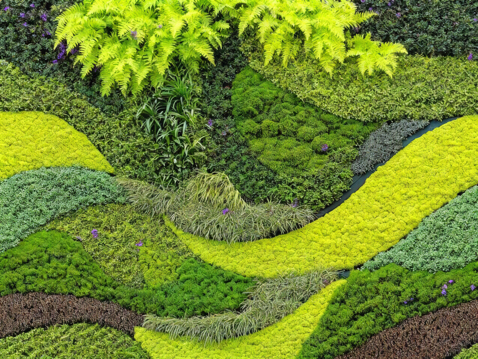 现代绿植墙贴图下载【ID:1203998567】