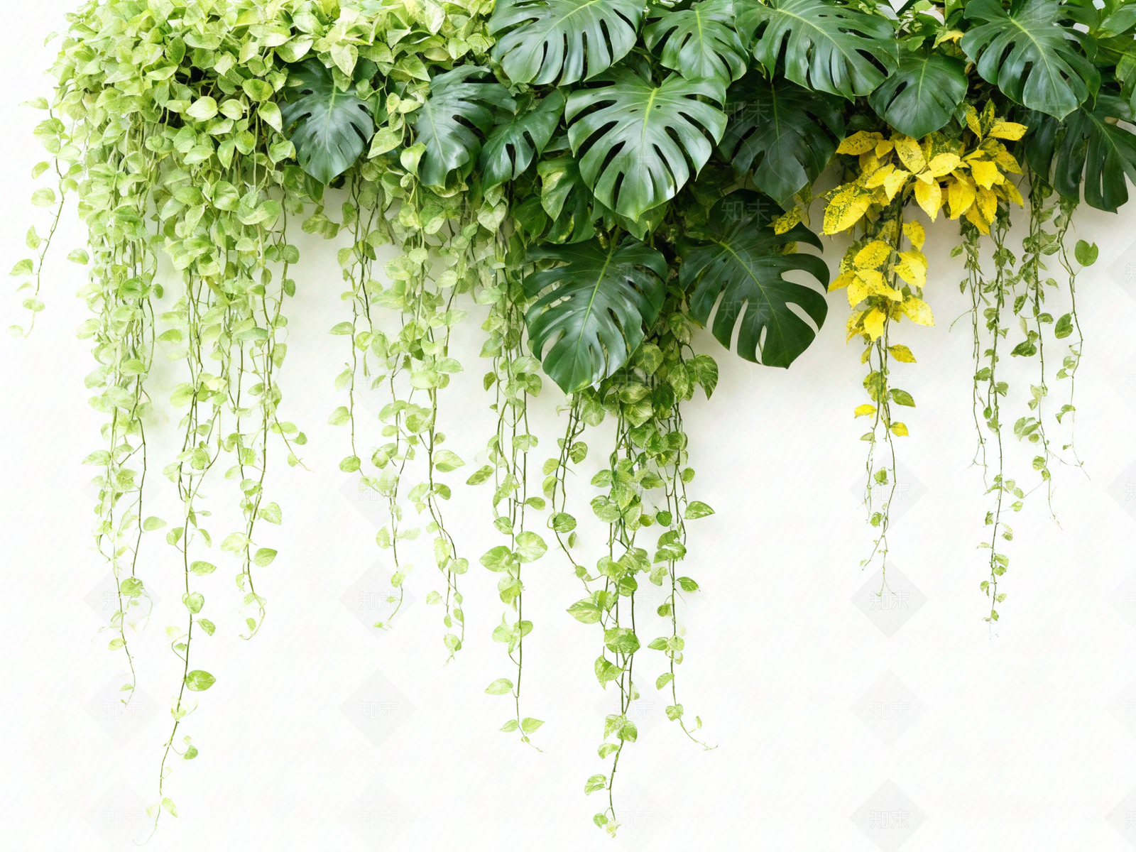 现代绿植墙贴图下载【ID:1203999204】