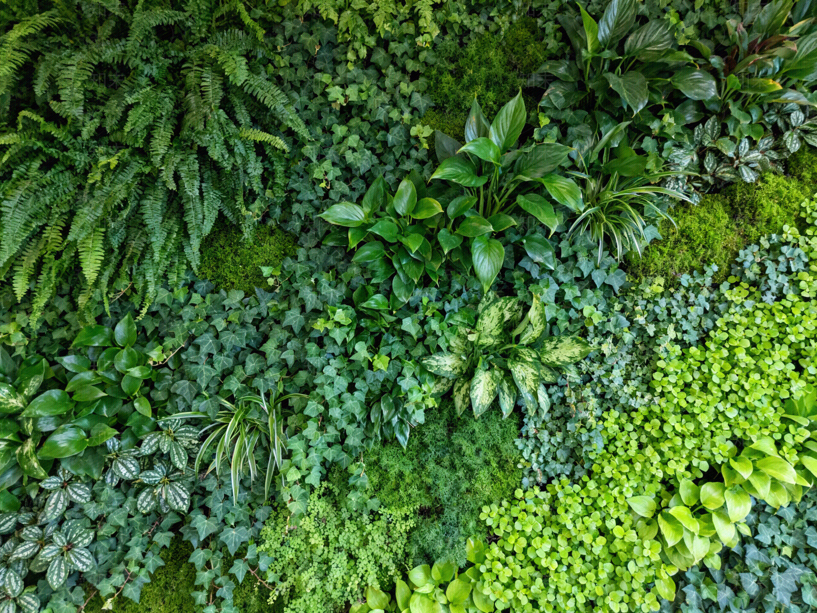 现代绿植墙贴图下载【ID:1204014480】