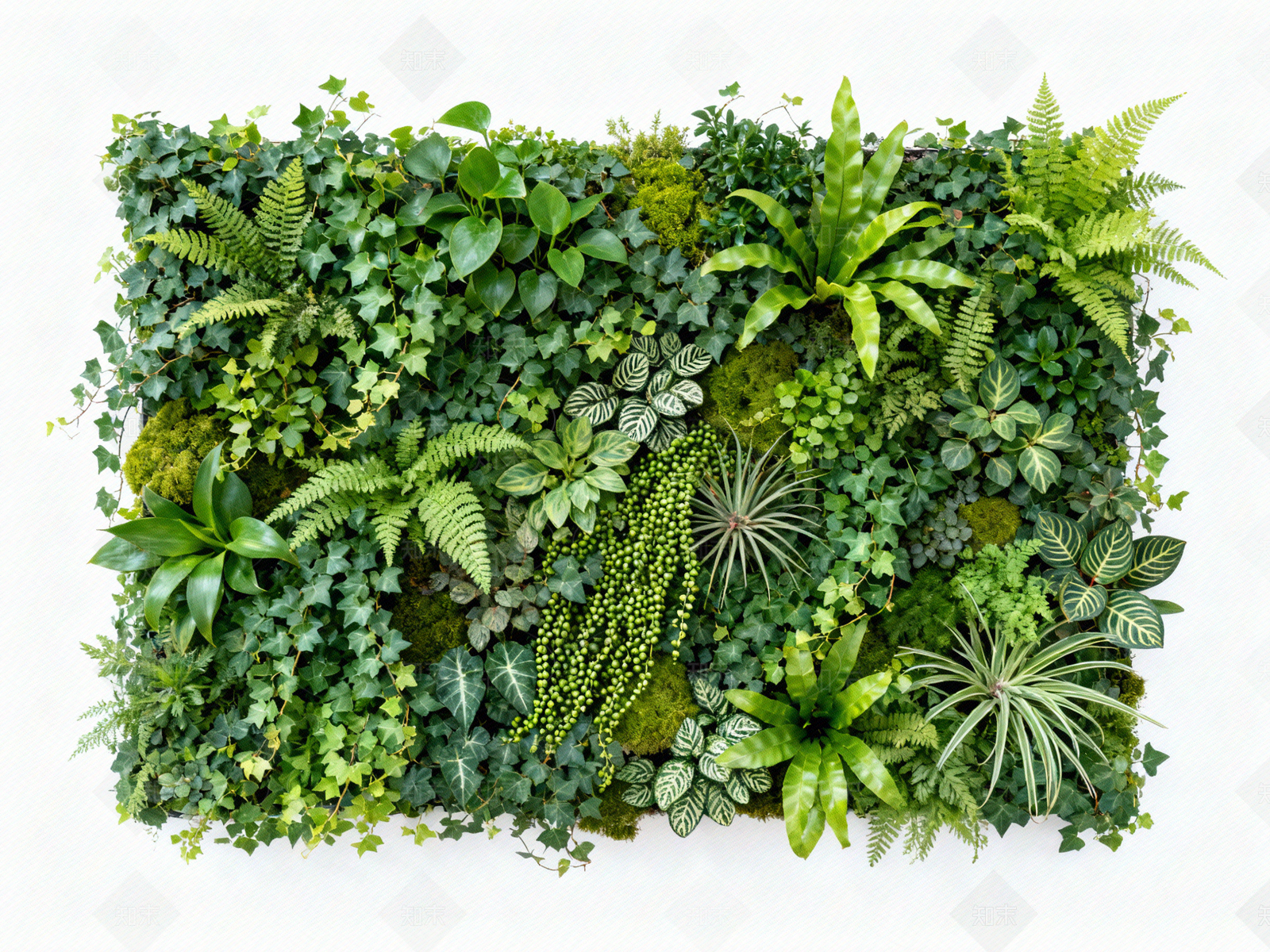 现代绿植墙贴图下载【ID:1204014495】