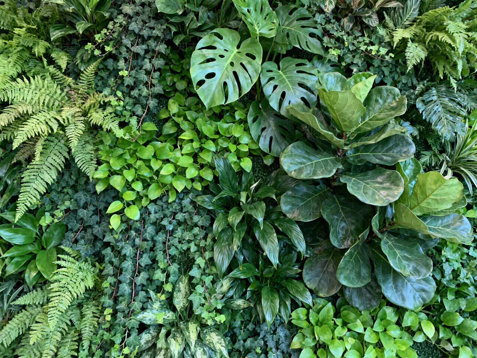 现代绿植墙贴图下载【ID:1204015082】