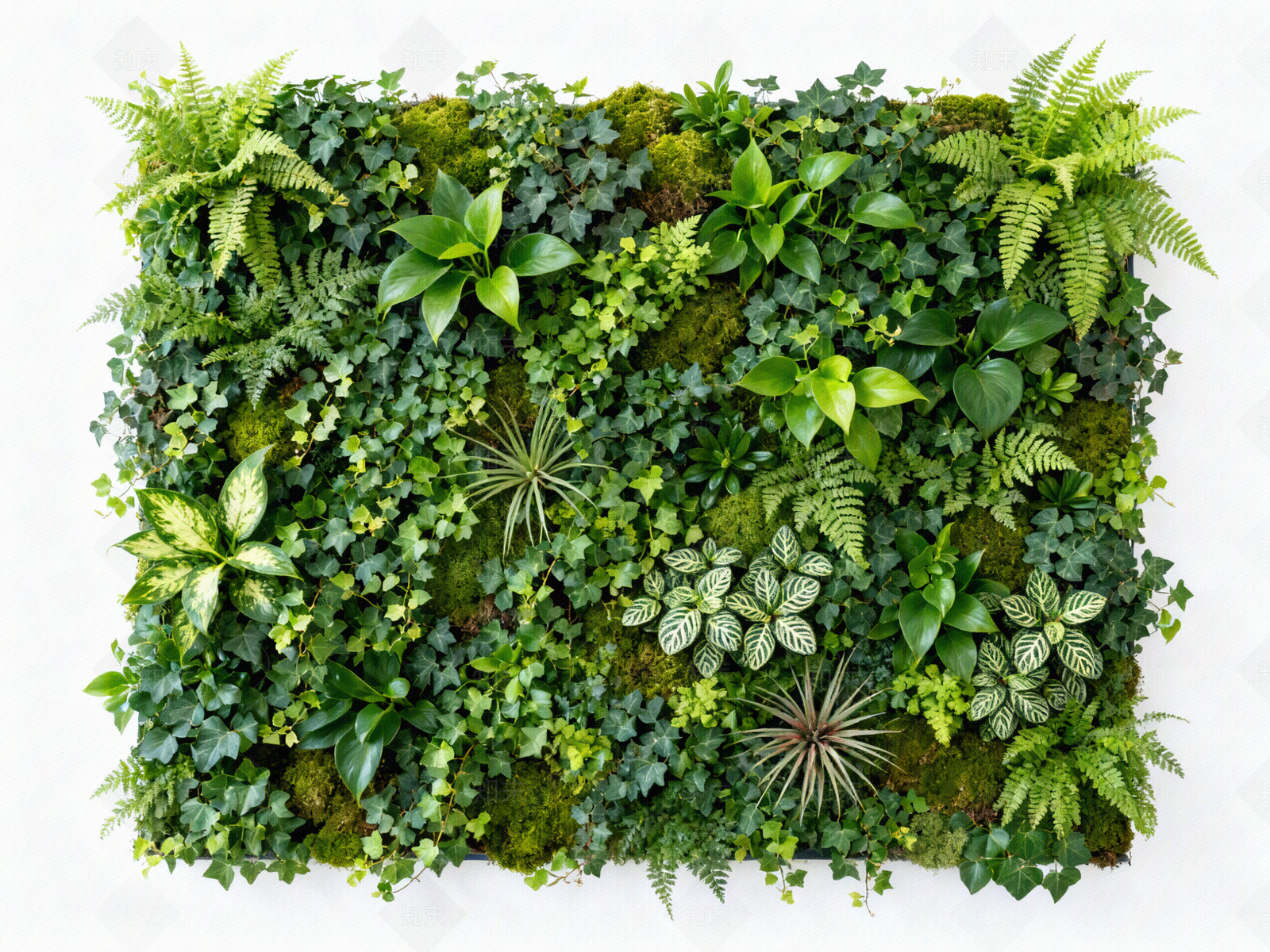 现代绿植墙贴图下载【ID:1204015442】