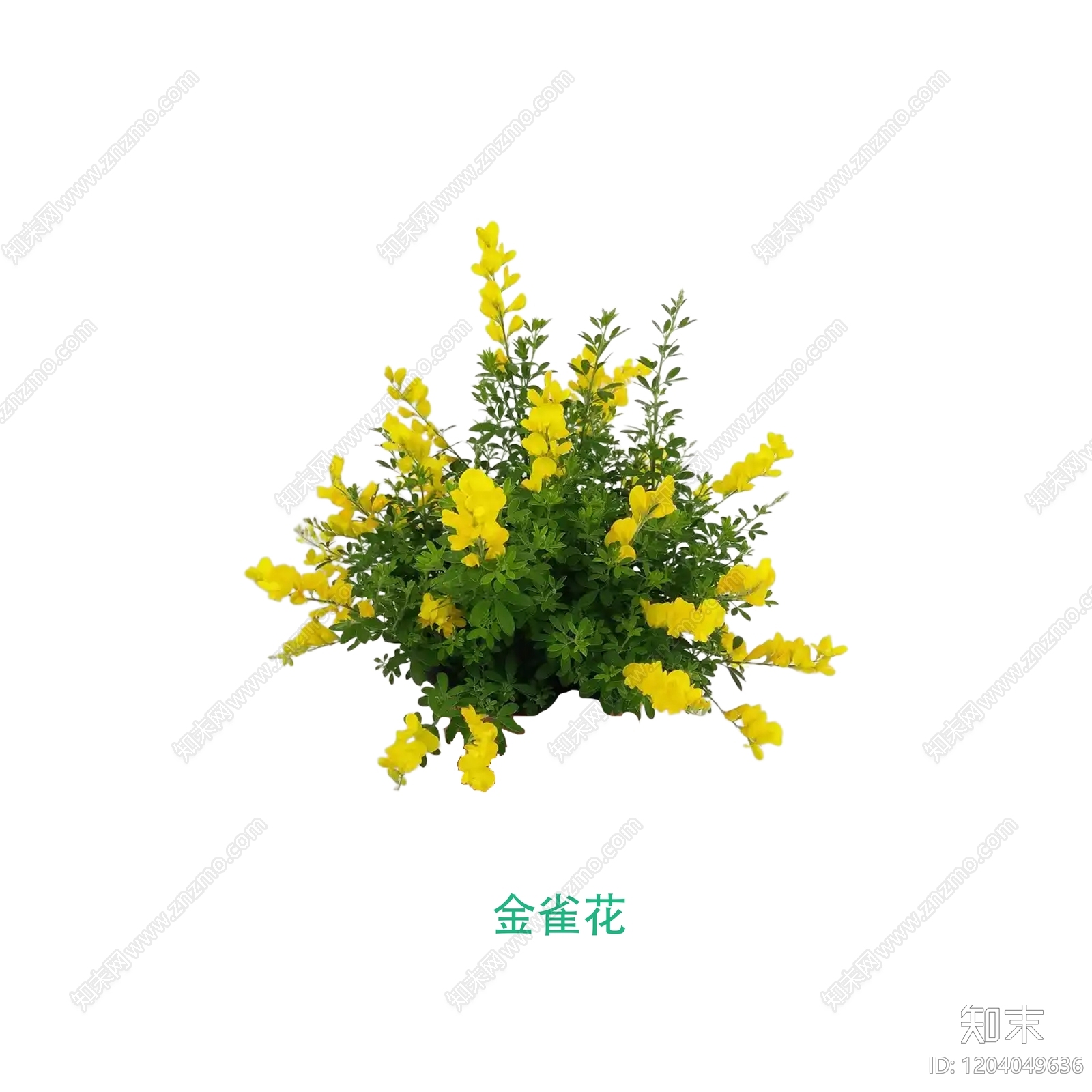 现代新中式其他花草下载【ID:1204049636】