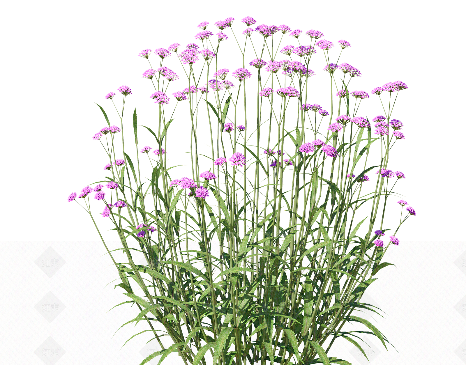 花草SU模型下载【ID:1204099904】