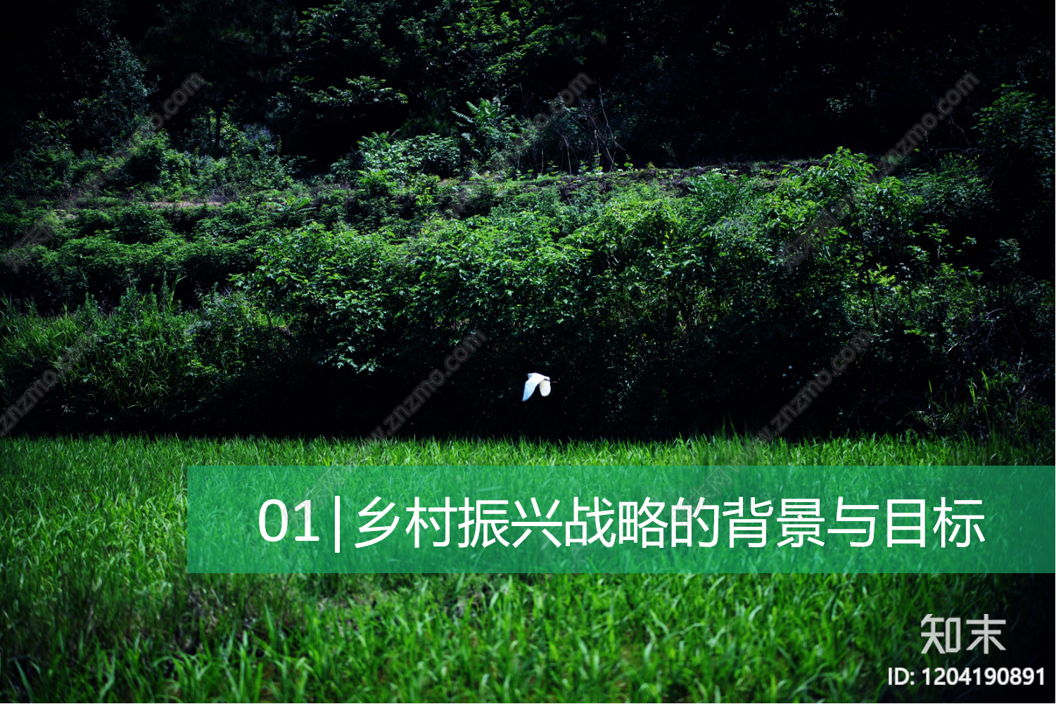 现代美丽乡村规划下载【ID:1204190891】