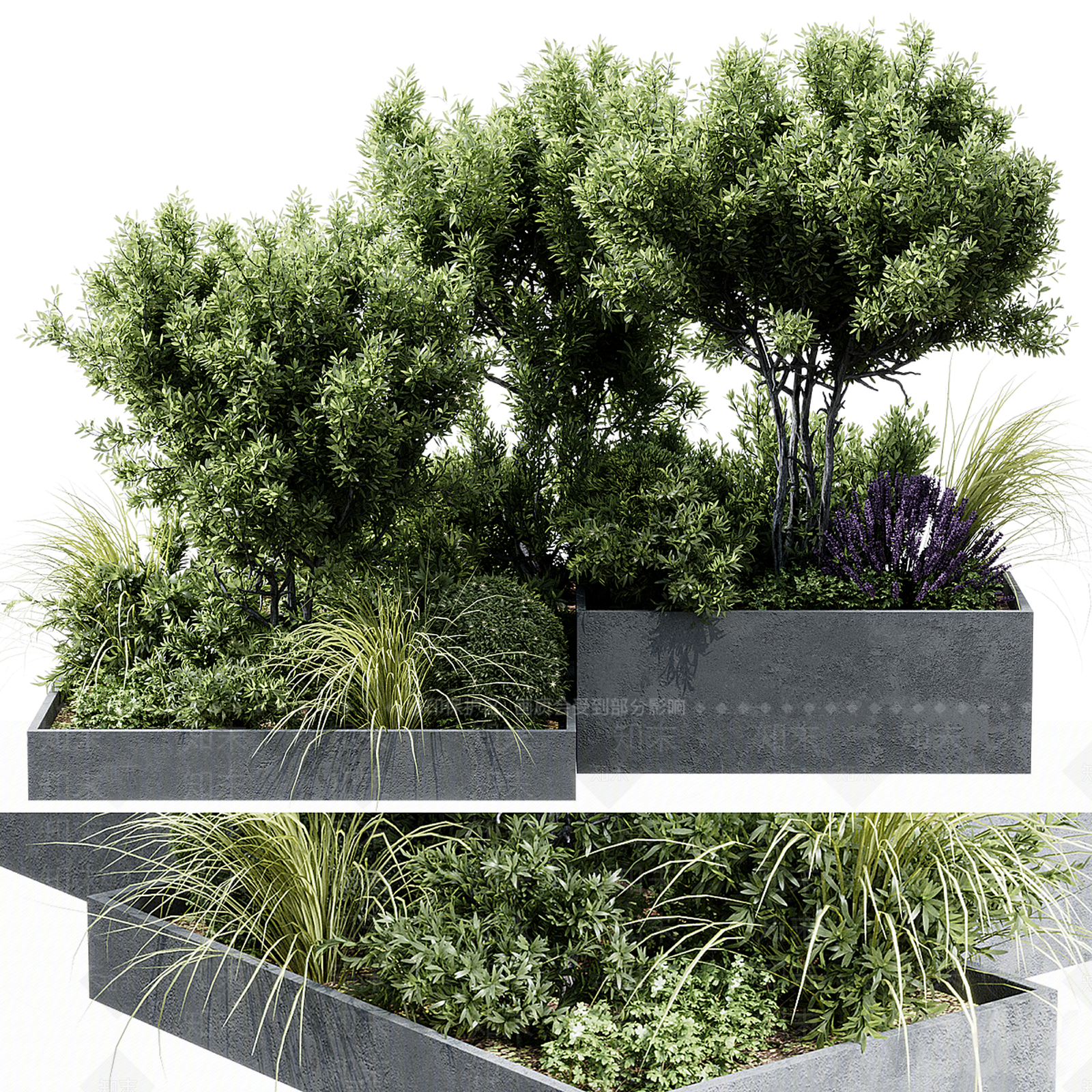 景观树3D模型下载【ID:1204221809】