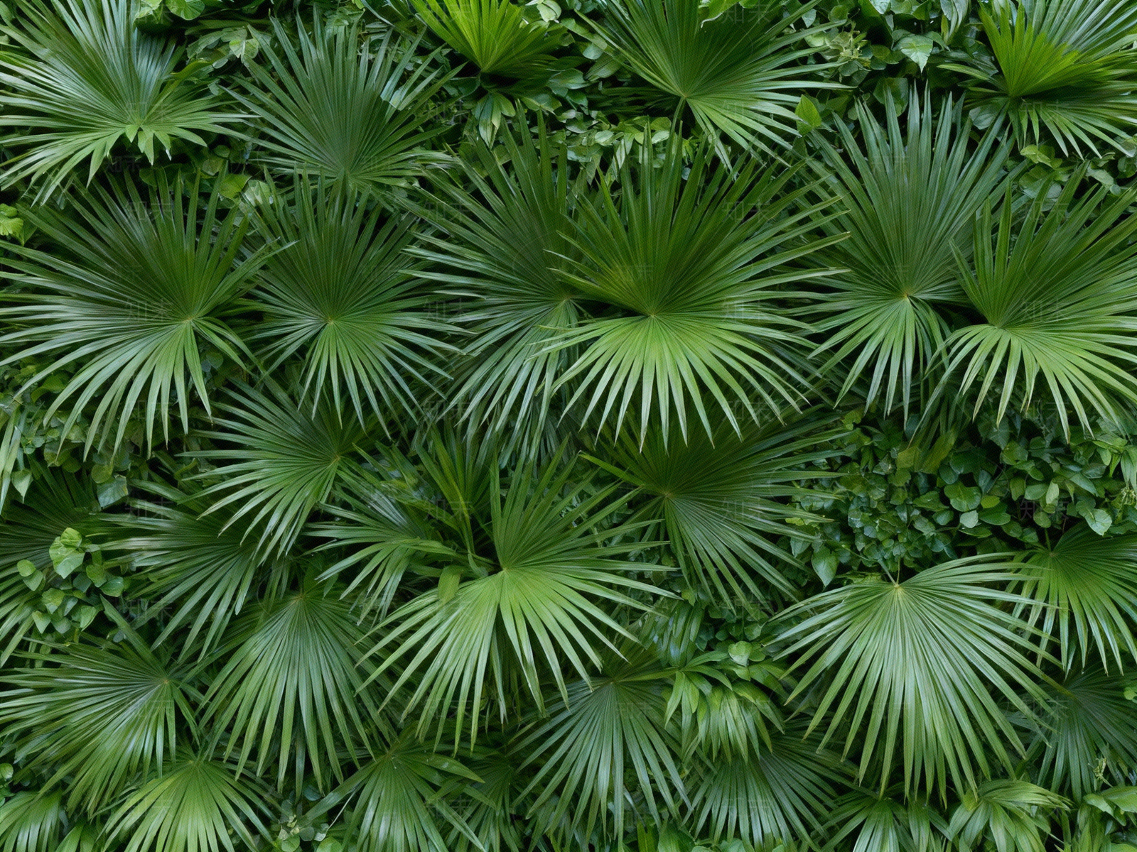 现代绿植墙贴图下载【ID:1204224769】