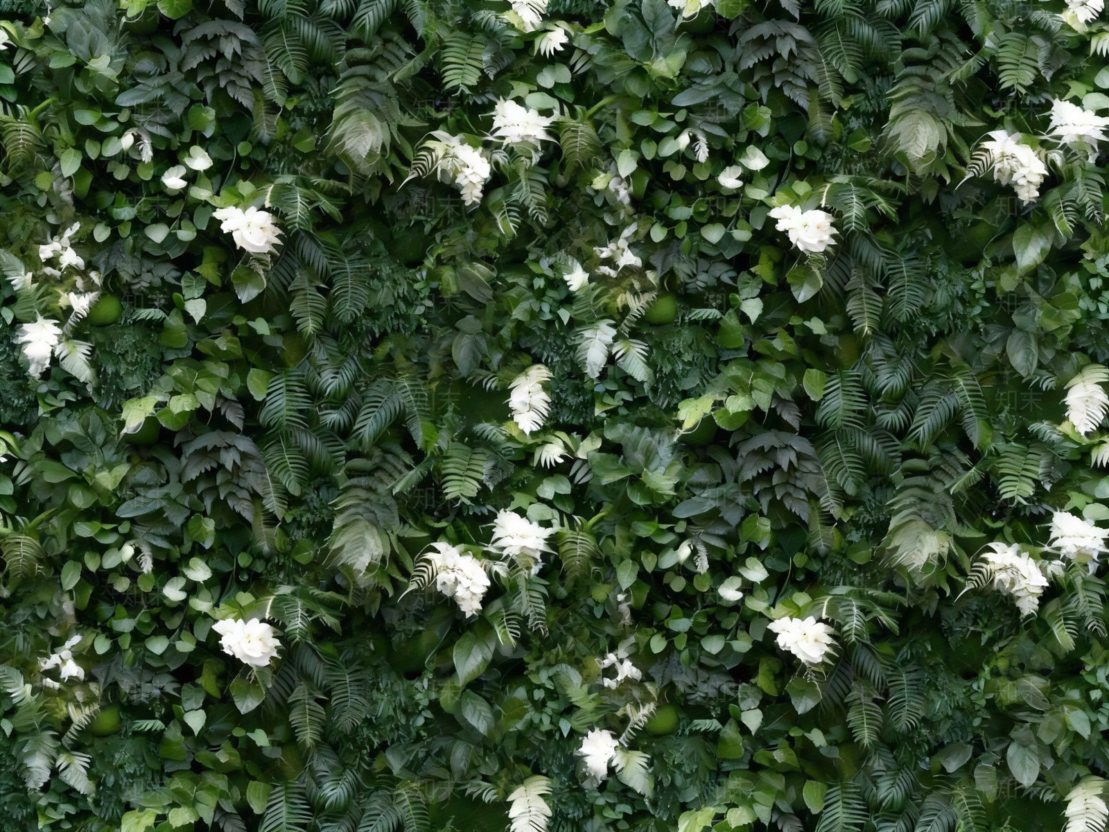 绿植墙高清贴图材质