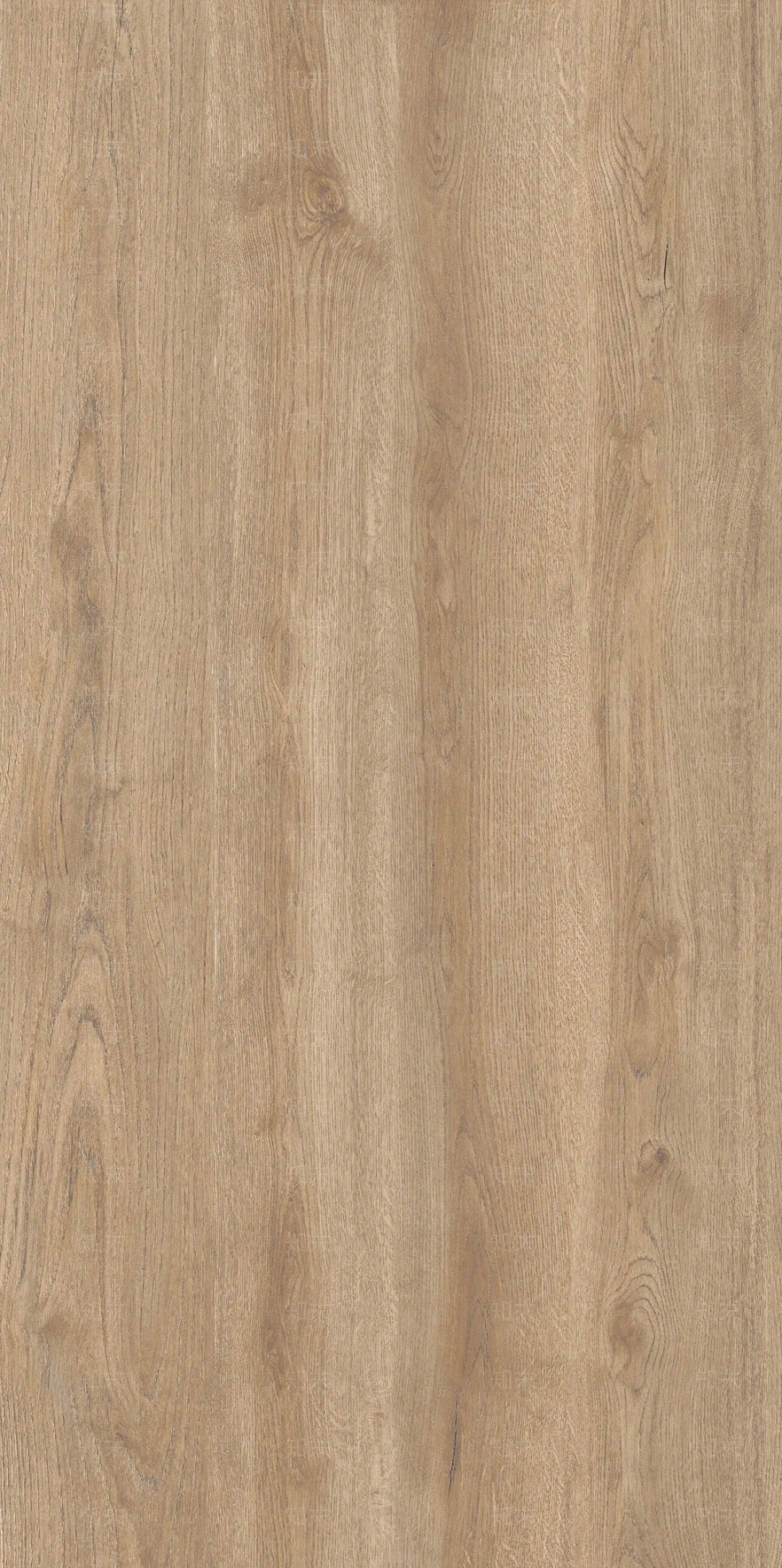 奶油侘寂橡木木纹贴图下载【ID:1204230833】