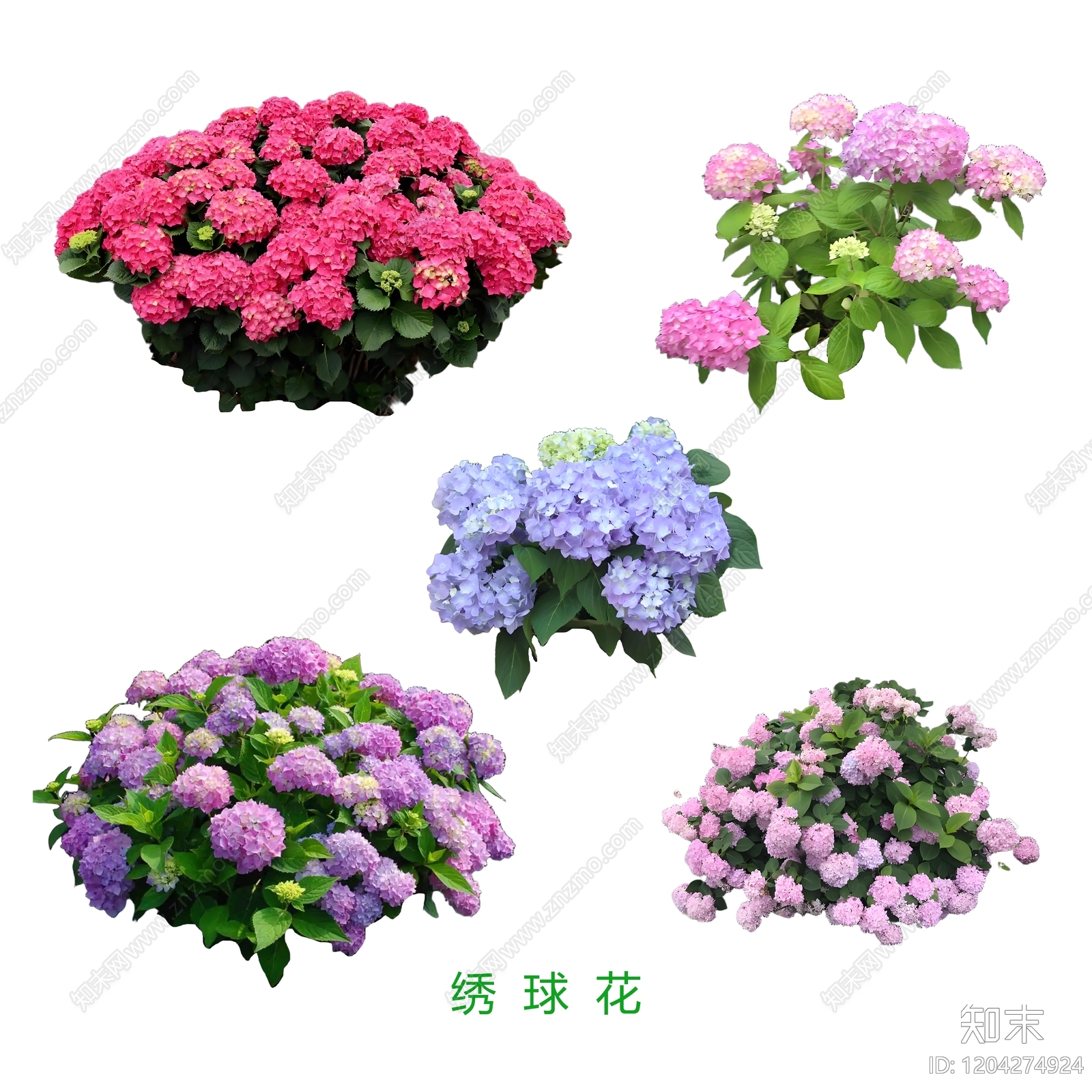 现代欧式其他花草下载【ID:1204274924】