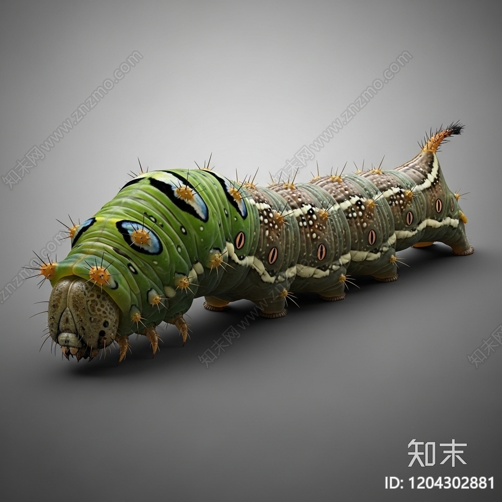 其他动物3D模型下载【ID:1204302881】