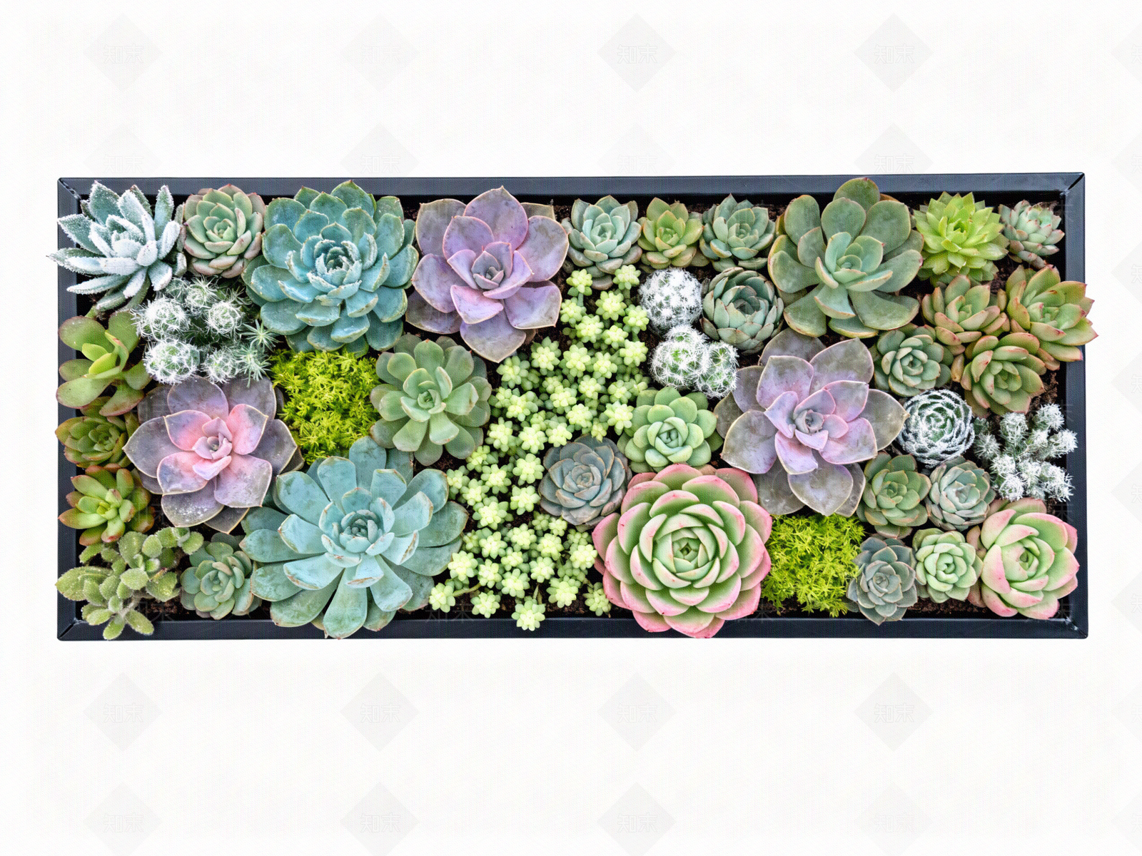 现代绿植墙贴图下载【ID:1204310251】