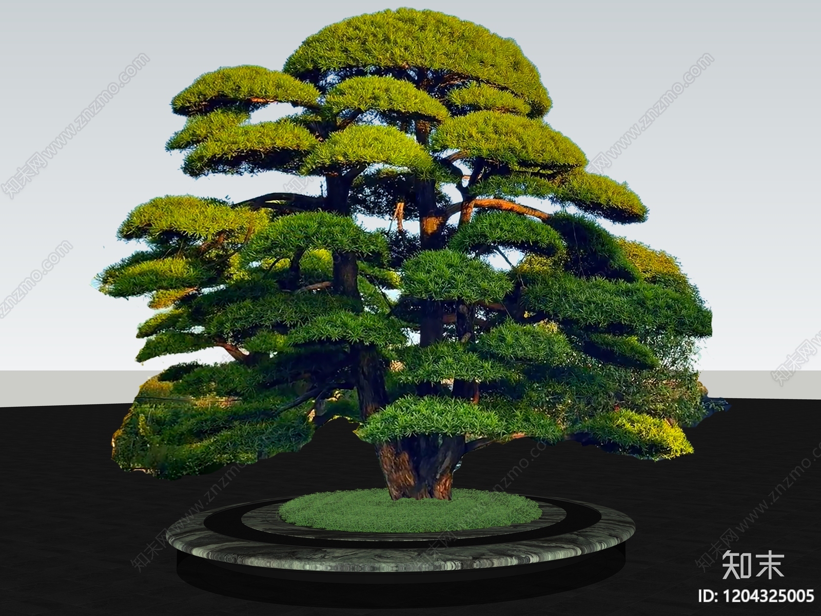 乔木SU模型下载【ID:1204325005】