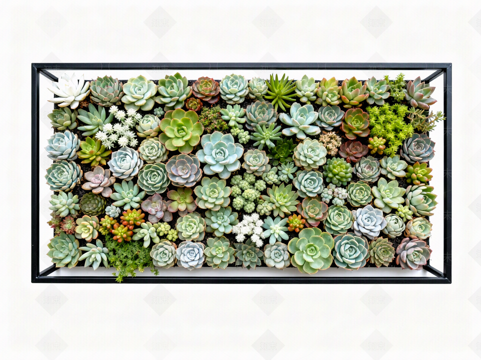 现代绿植墙贴图下载【ID:1204370767】