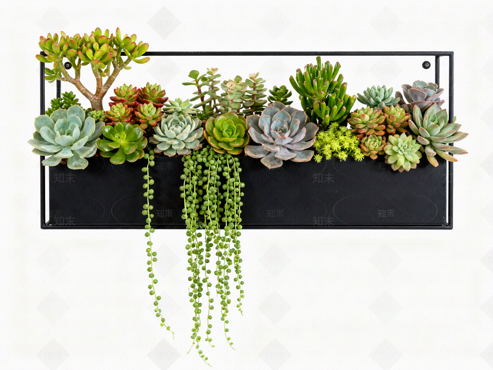 现代绿植墙贴图下载【ID:1204372439】