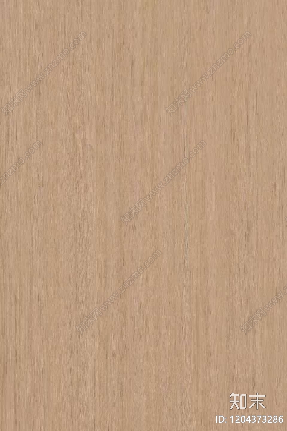现代枫木贴图下载【ID:1204373286】