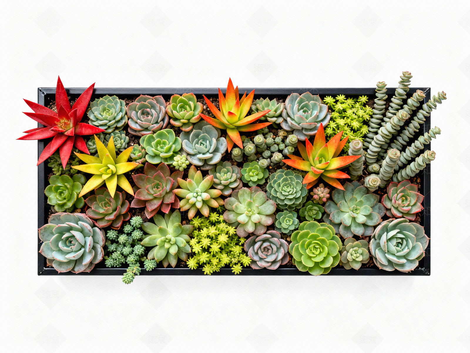 现代绿植墙贴图下载【ID:1204374631】