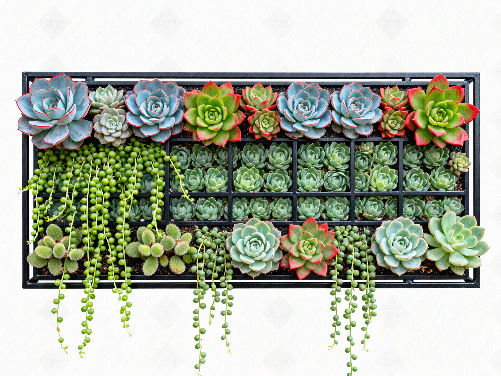 现代绿植墙贴图下载【ID:1204374874】