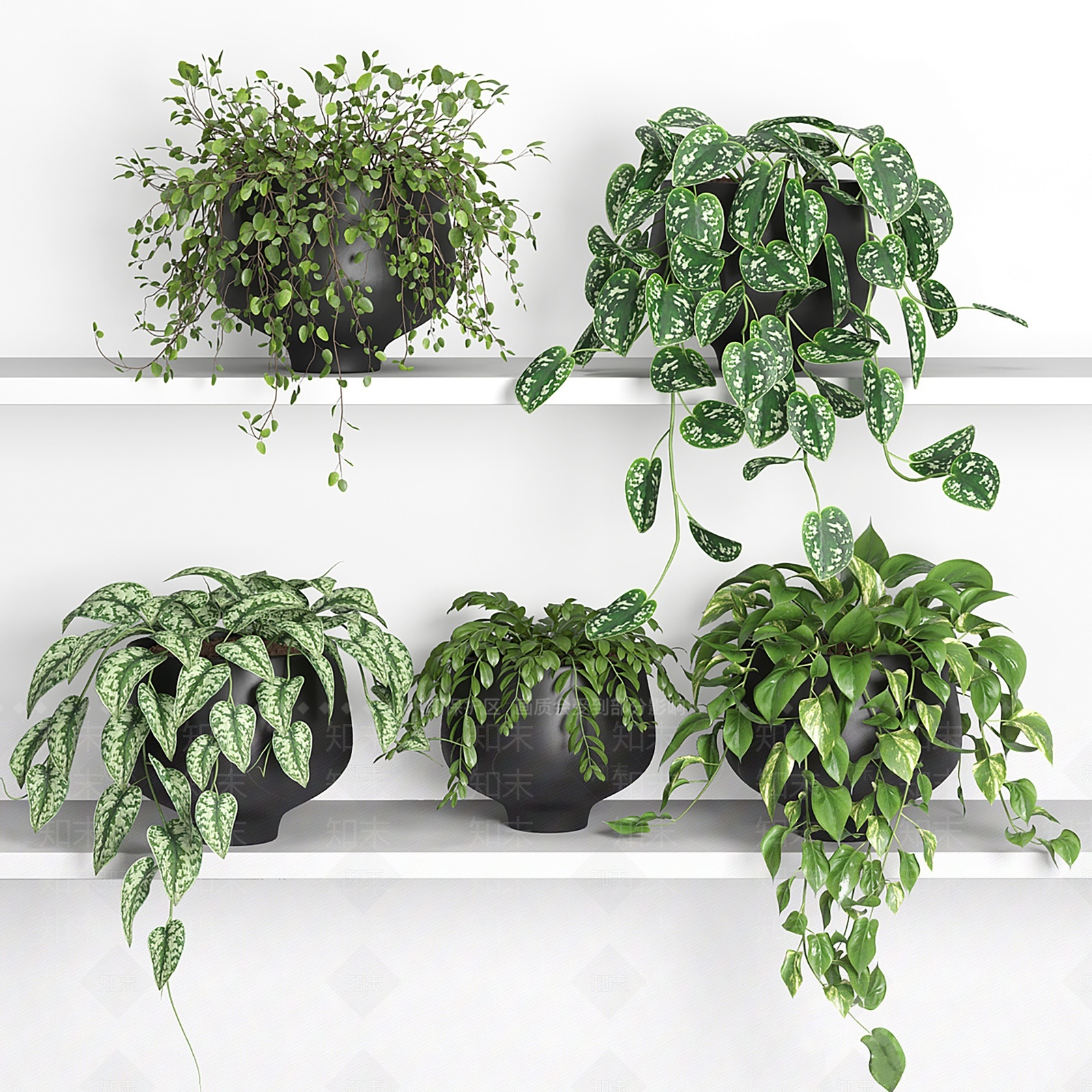 绿植SU模型下载【ID:1204376823】