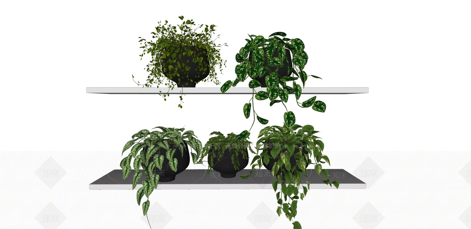 绿植SU模型下载【ID:1204376823】