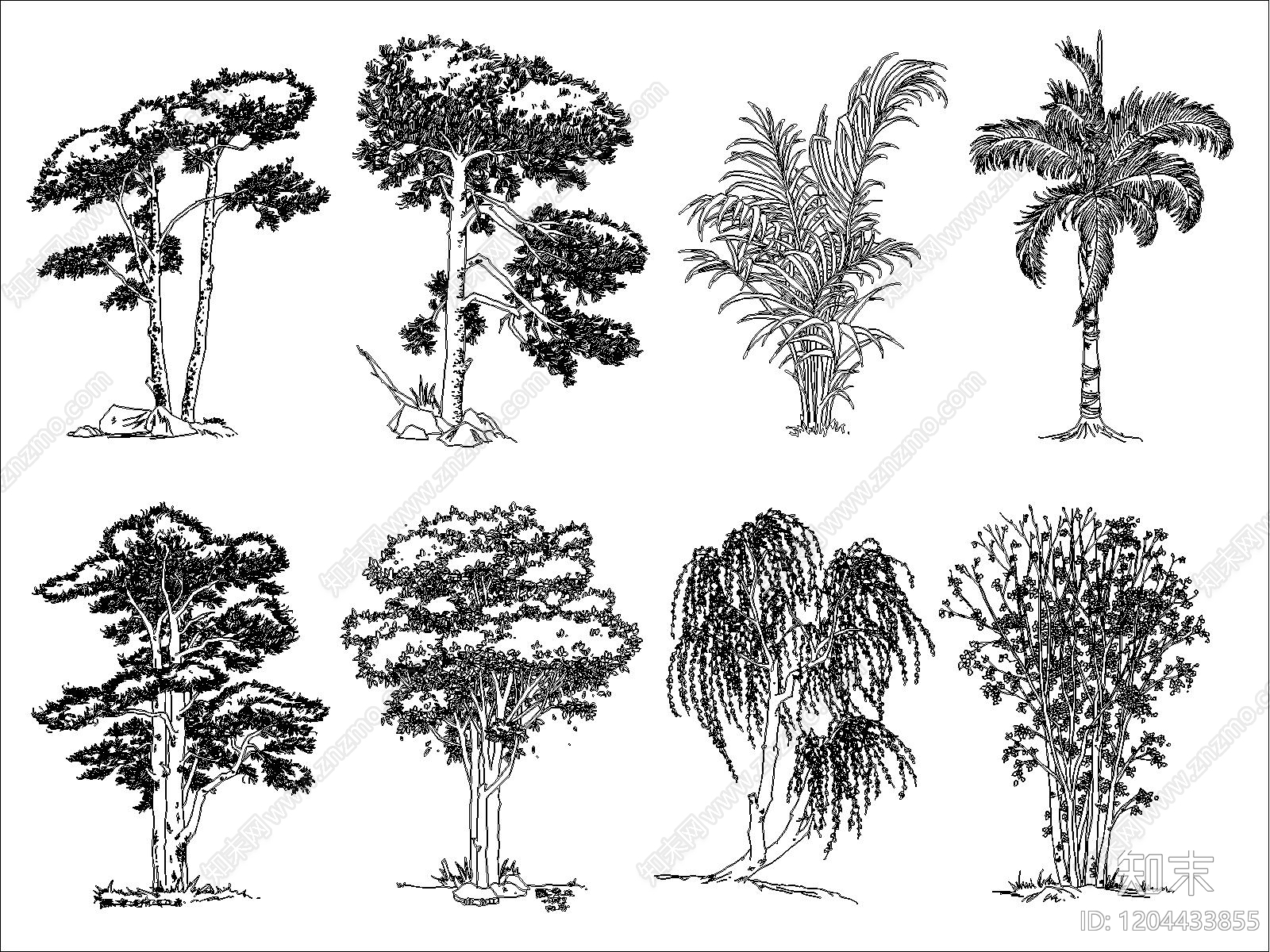 乔木种植施工图下载【ID:1204433855】