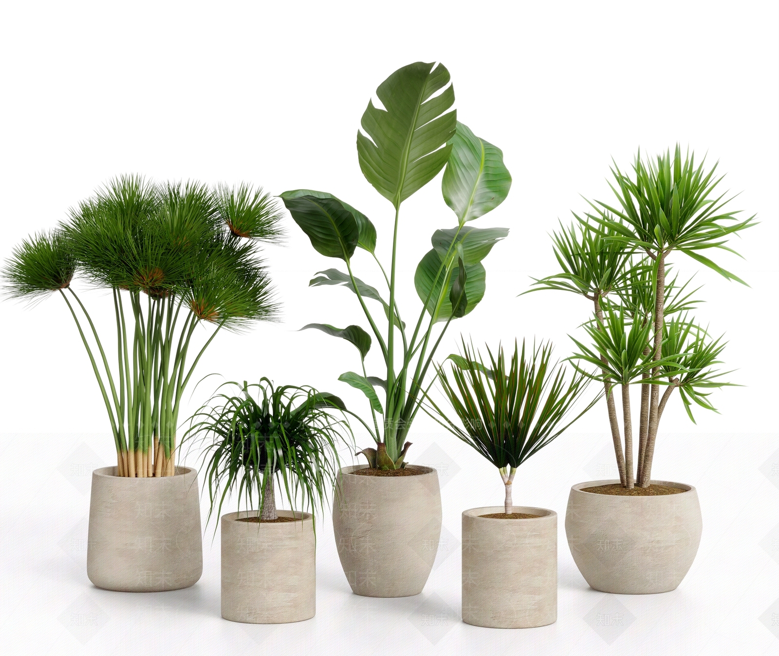 盆栽SU模型下载【ID:1204446301】