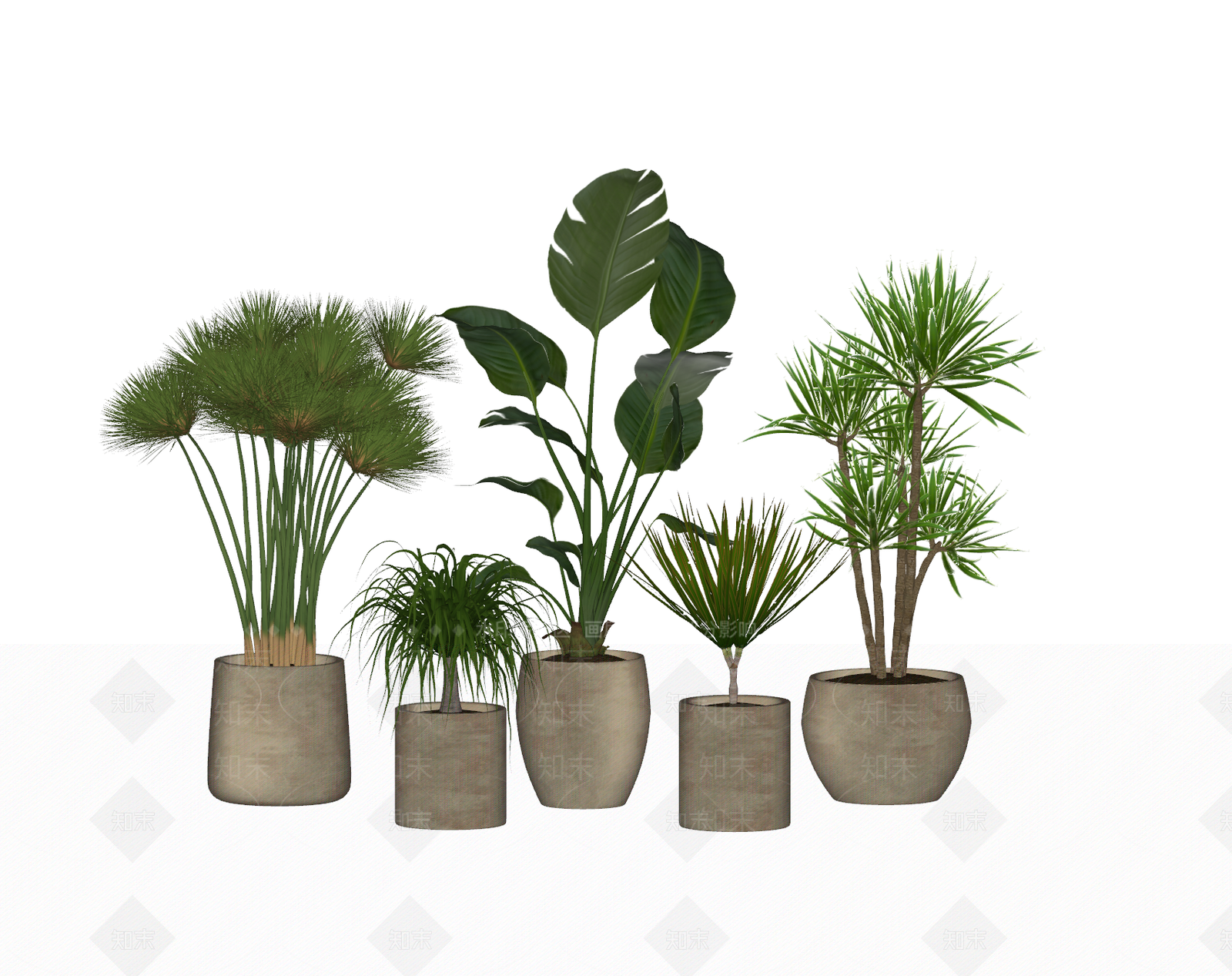 盆栽SU模型下载【ID:1204446301】