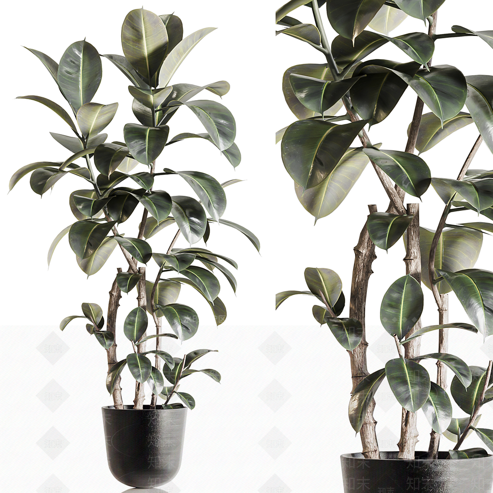 盆栽3D模型下载【ID:1204473148】