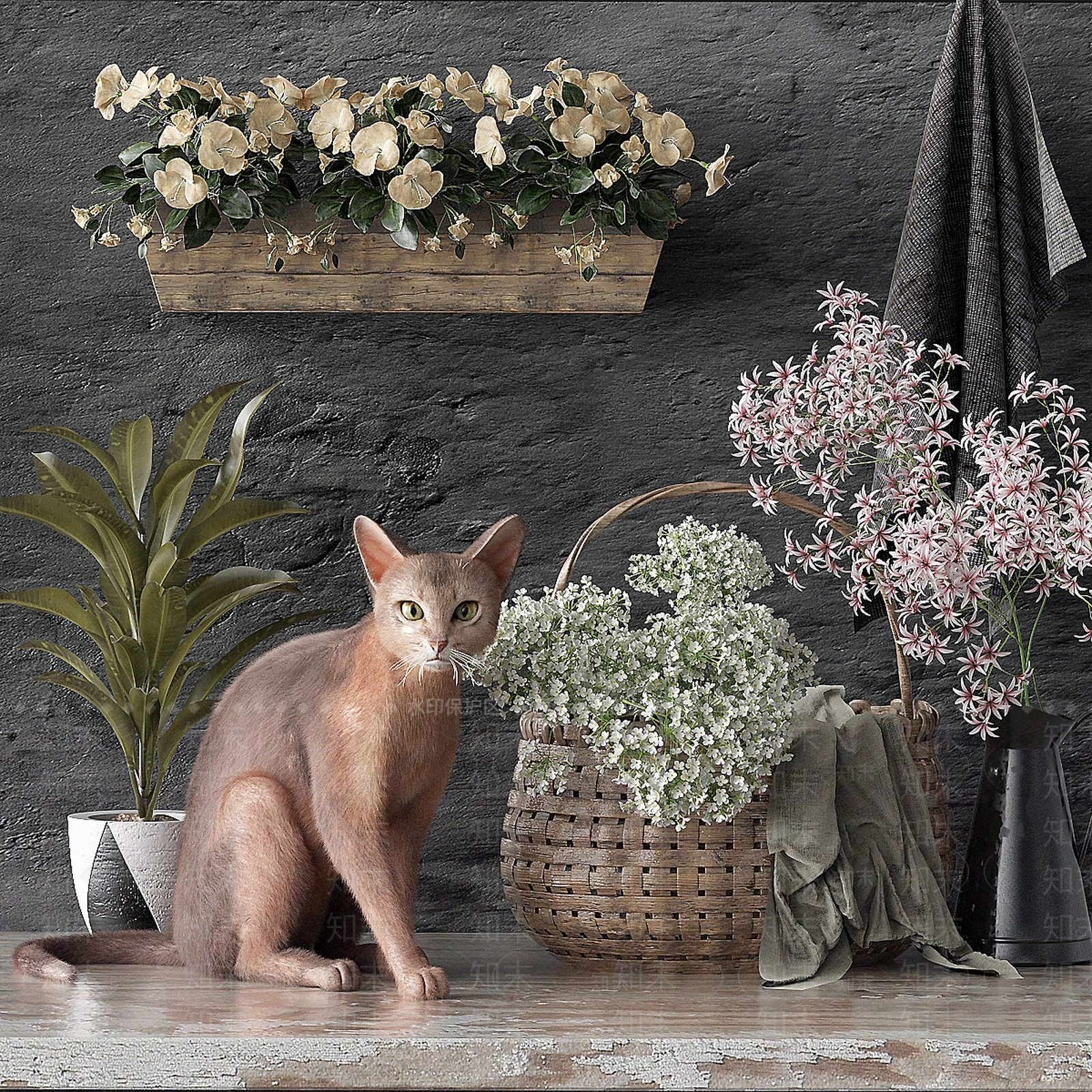 猫3D模型下载【ID:1204477097】