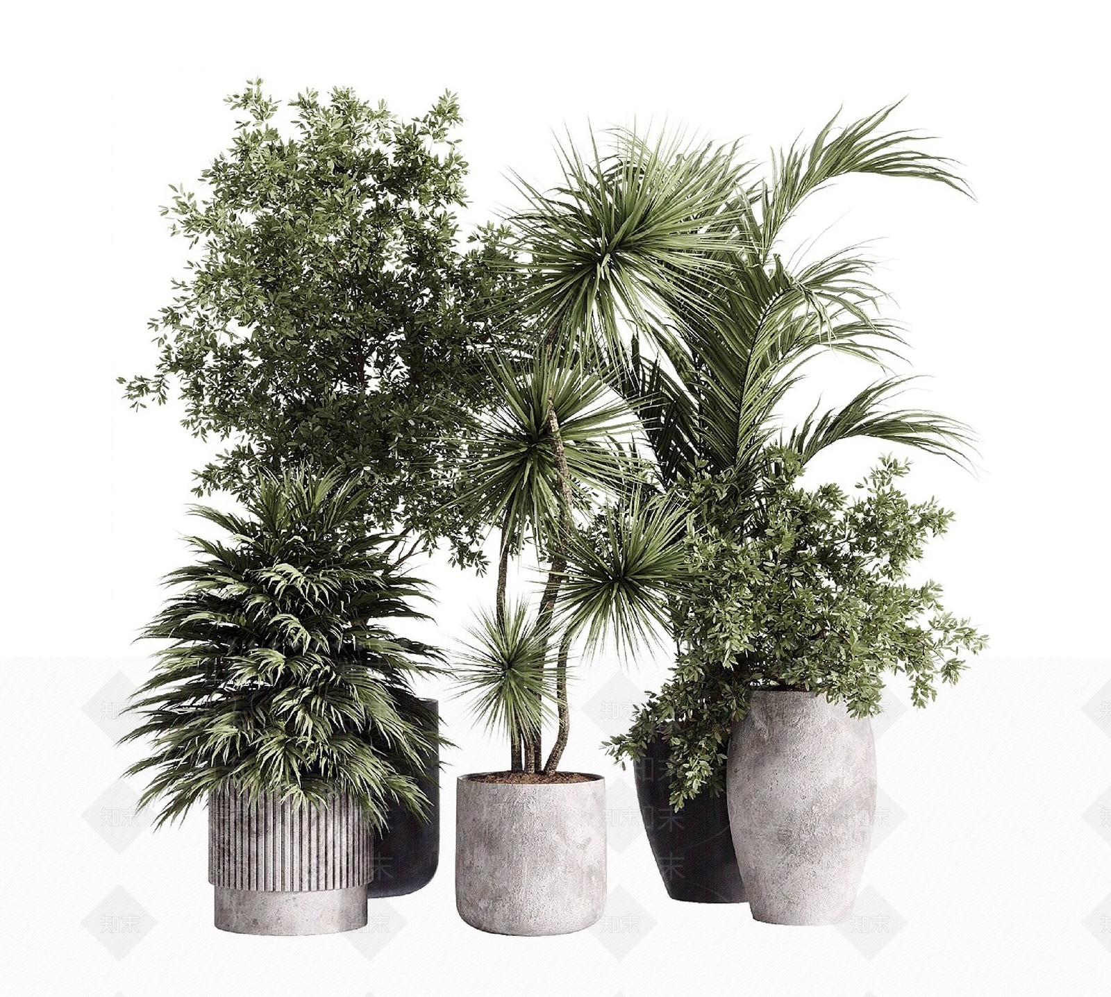 盆栽SU模型下载【ID:1204586617】