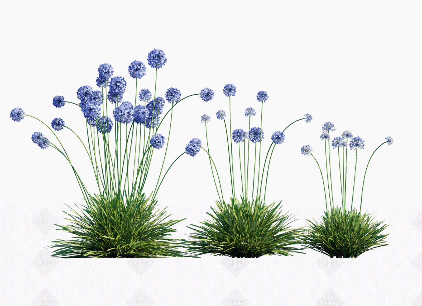 花草SU模型下载【ID:1204657787】