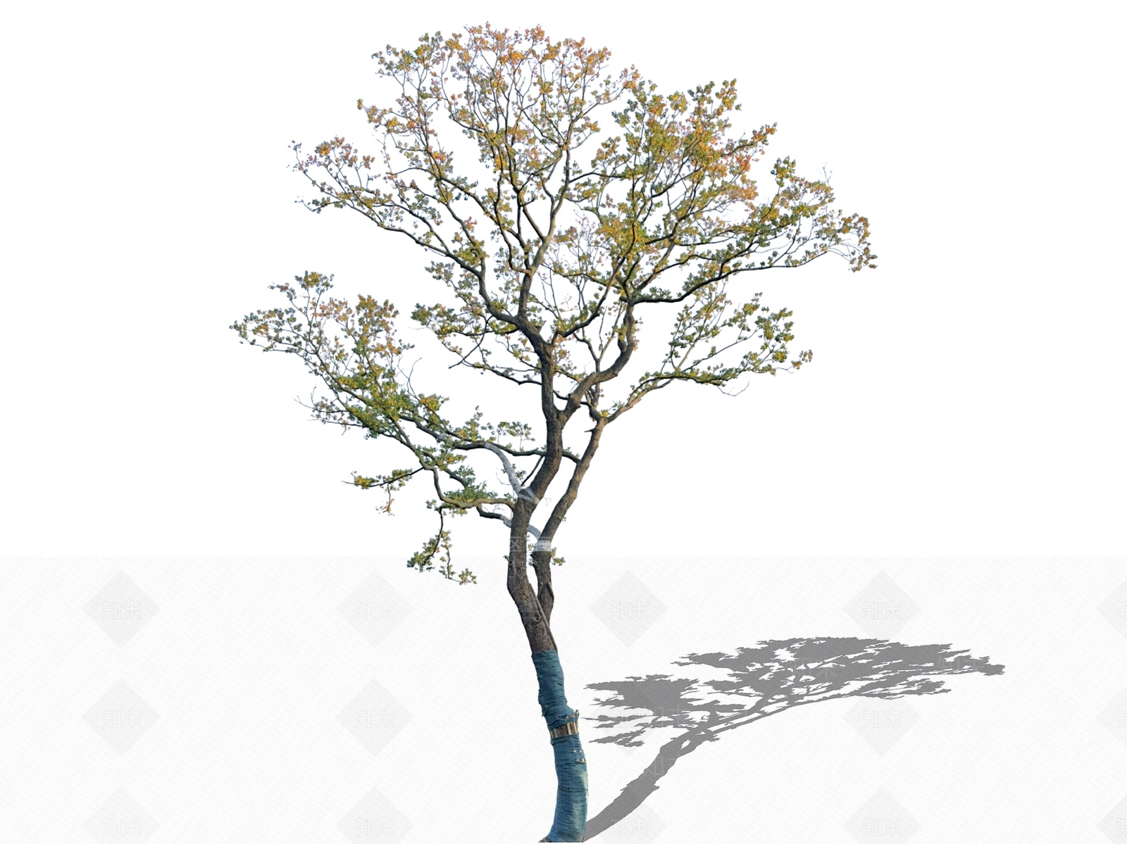乔木SU模型下载【ID:1204881486】