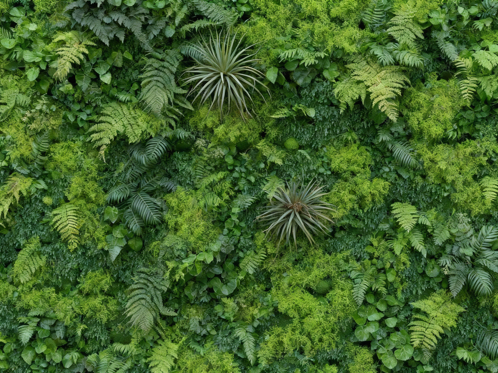 现代绿植墙贴图下载【ID:1204889254】