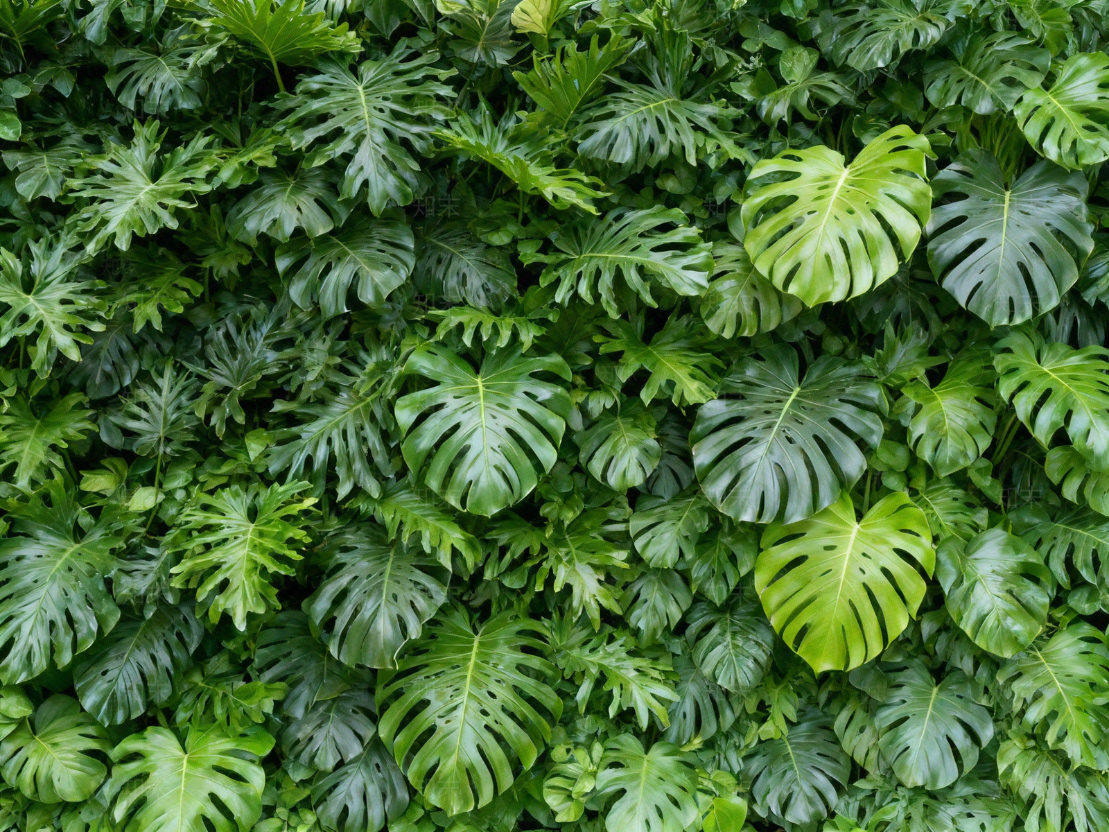 现代绿植墙贴图下载【ID:1204889606】