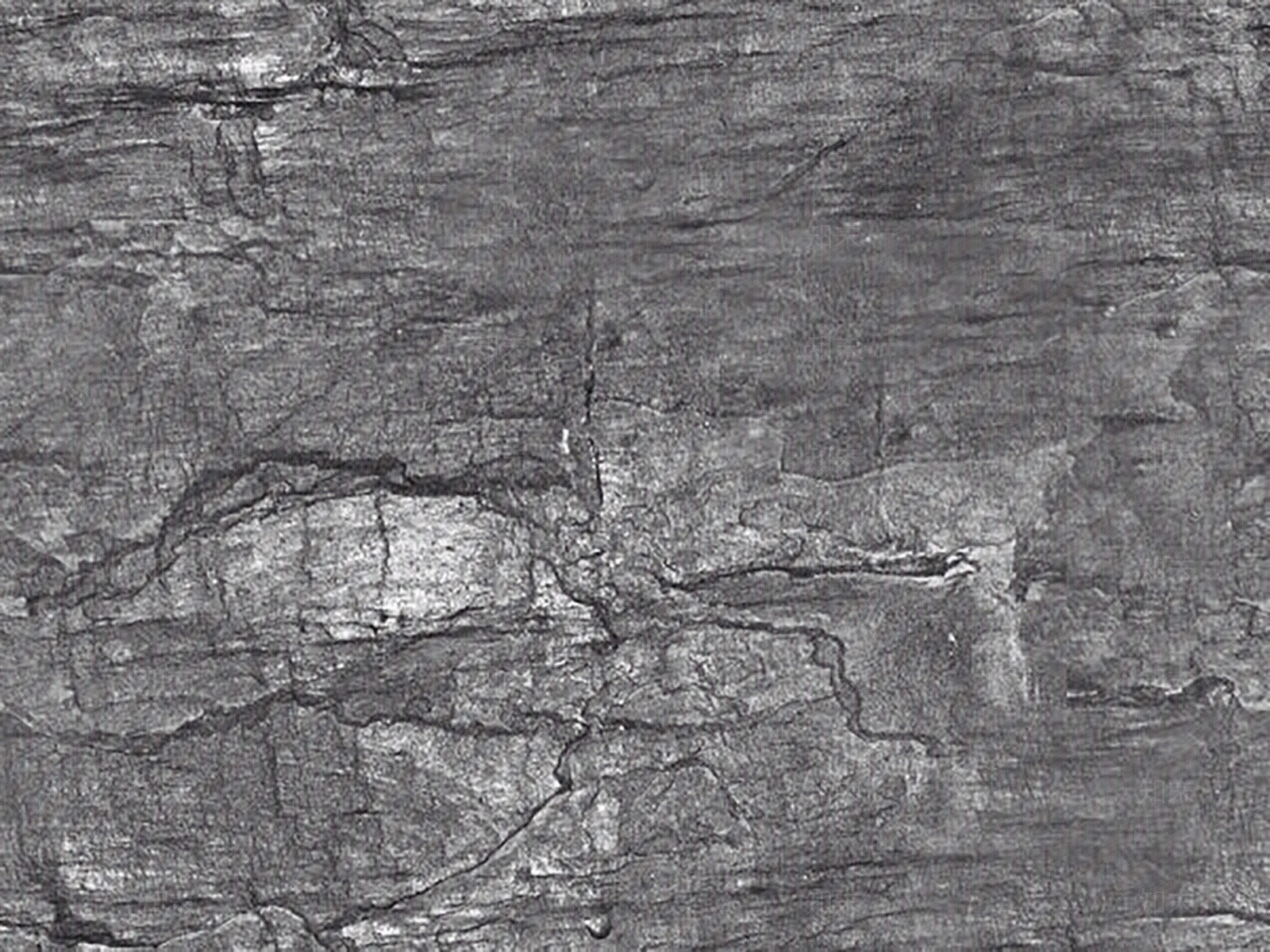 现代其他木纹贴图下载【ID:1204890934】