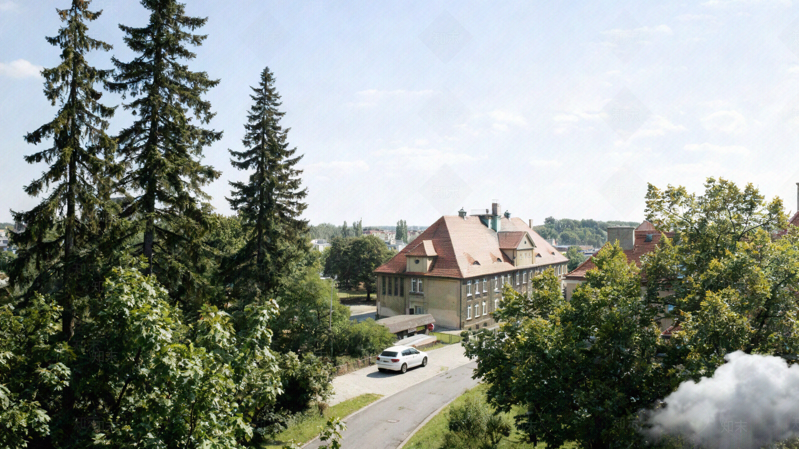 欧式植被贴图下载【ID:1204917357】