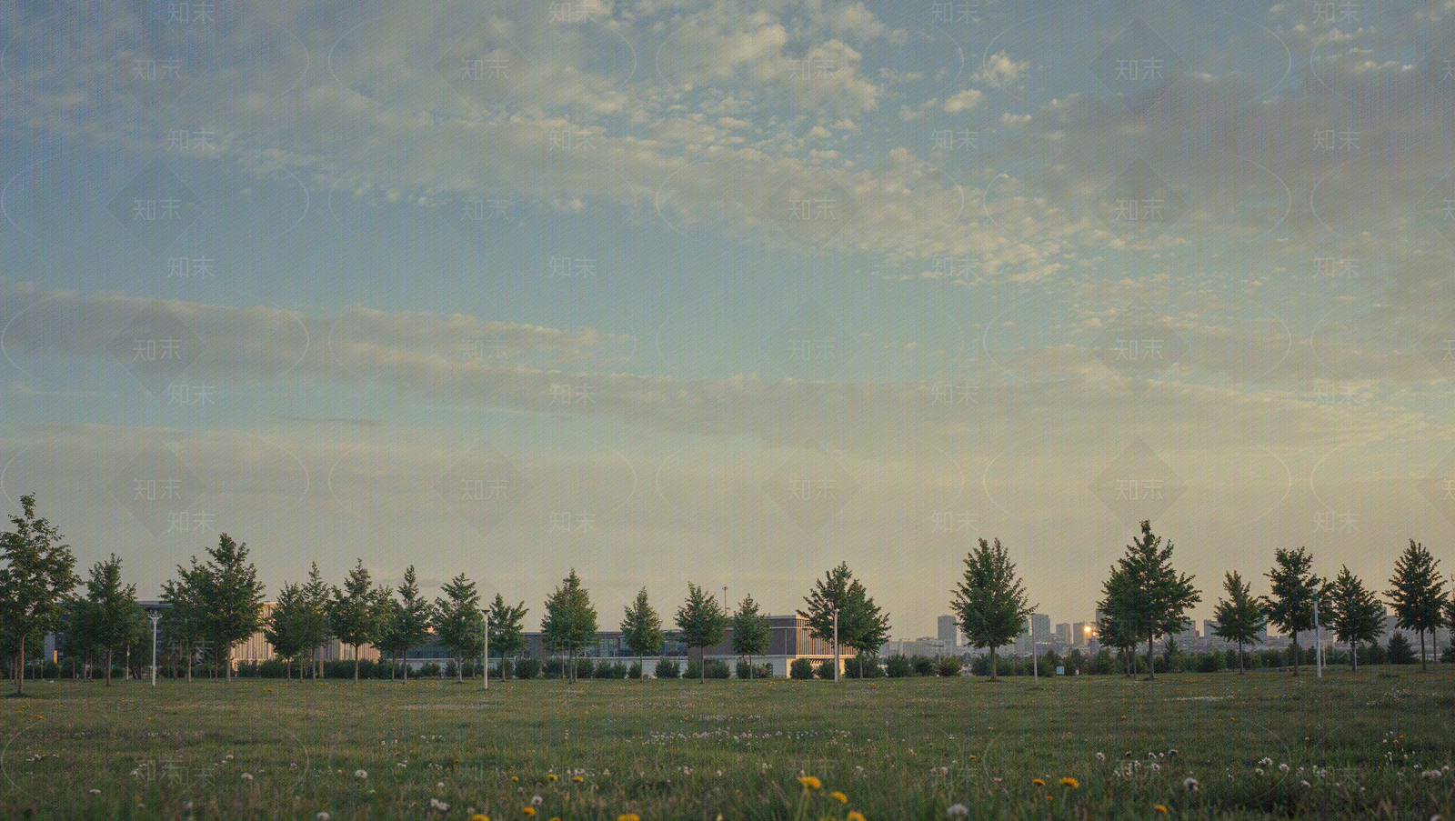 现代其它外景贴图下载【ID:1205050583】