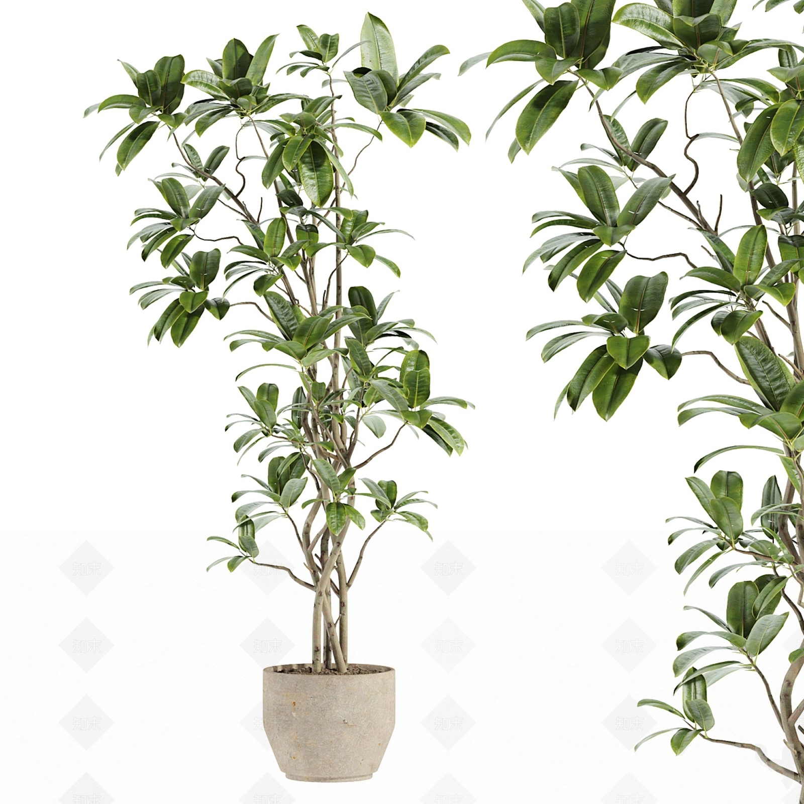 盆栽3D模型下载【ID:1205278685】