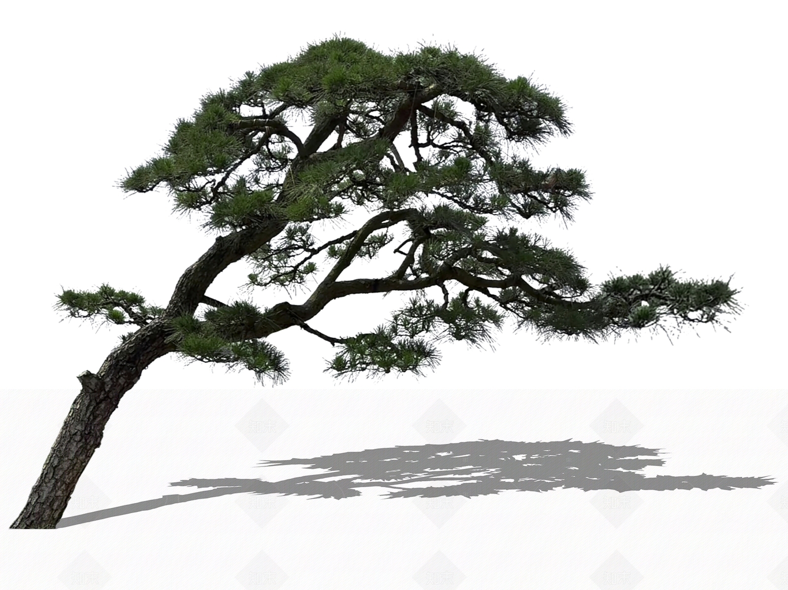 乔木SU模型下载【ID:1205152132】