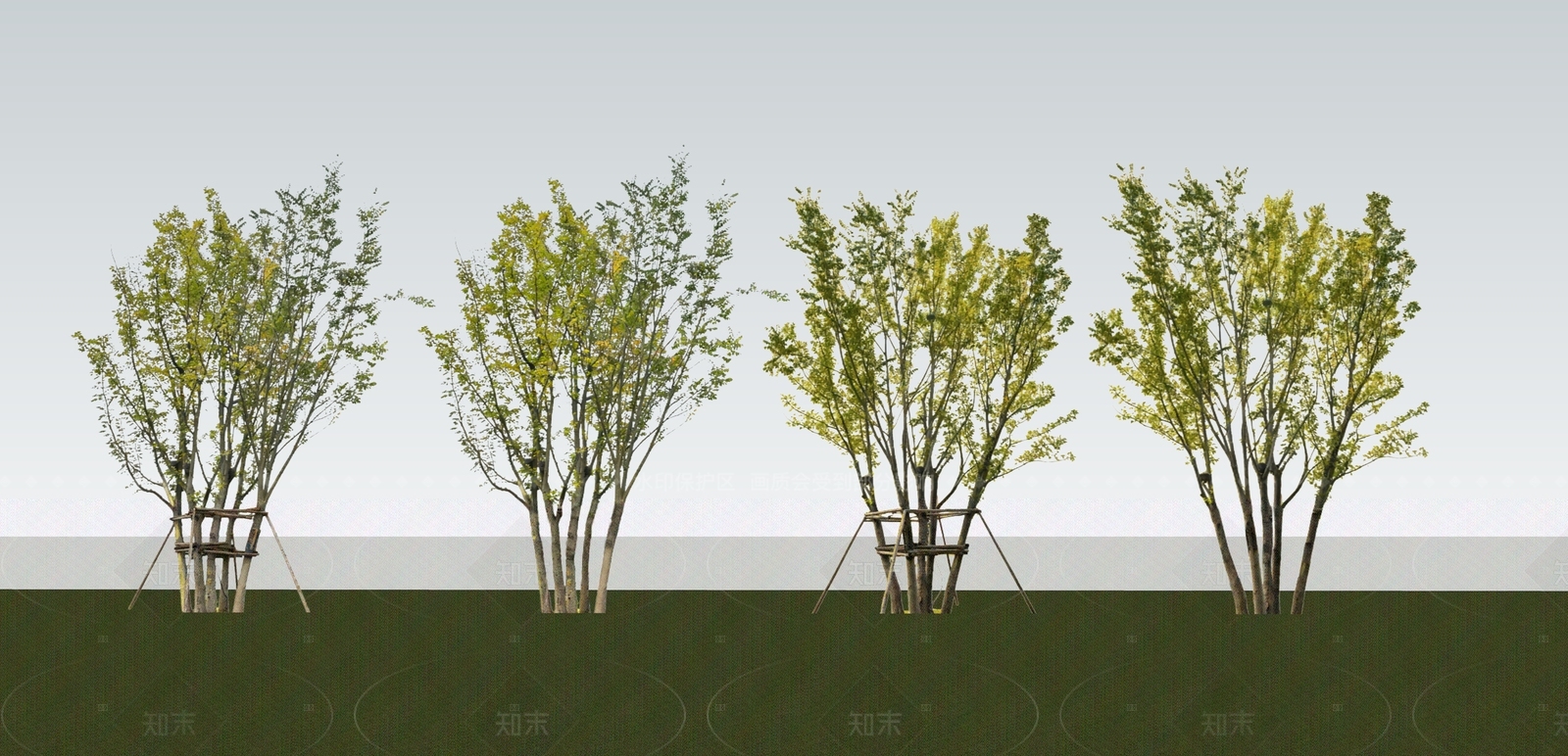 乔木SU模型下载【ID:1205287345】