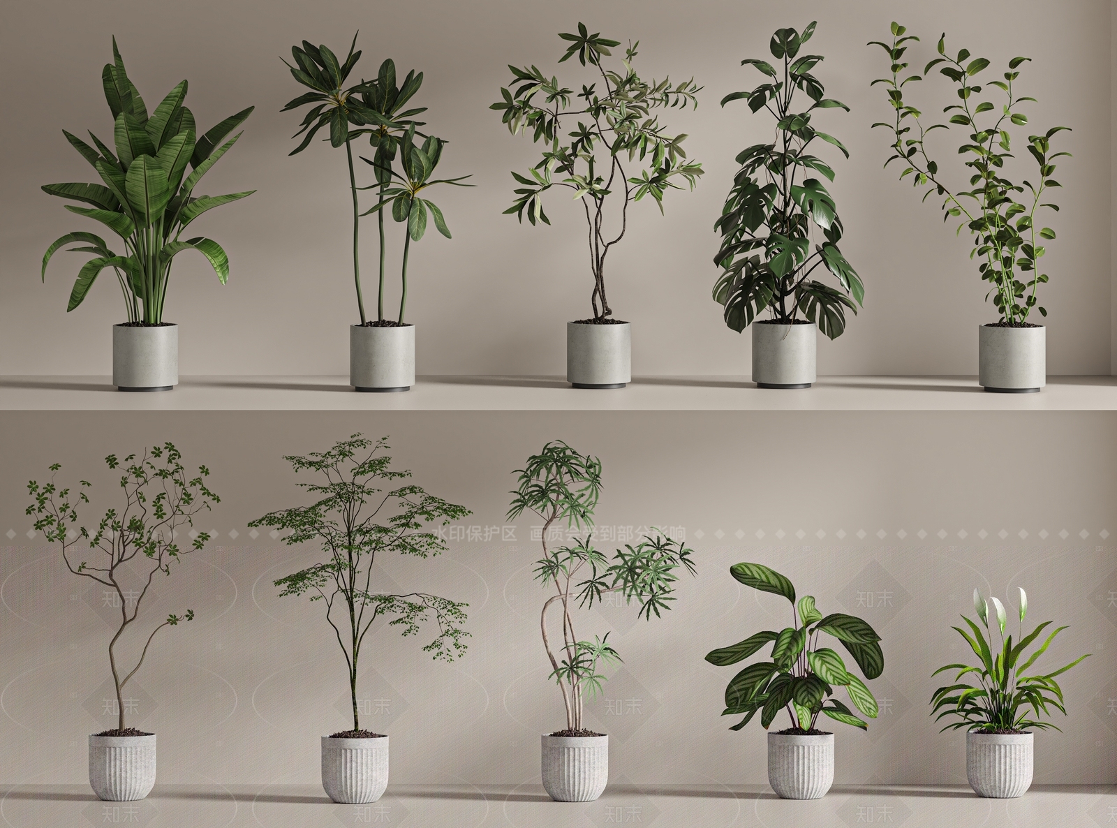 盆栽3D模型下载【ID:1205355950】