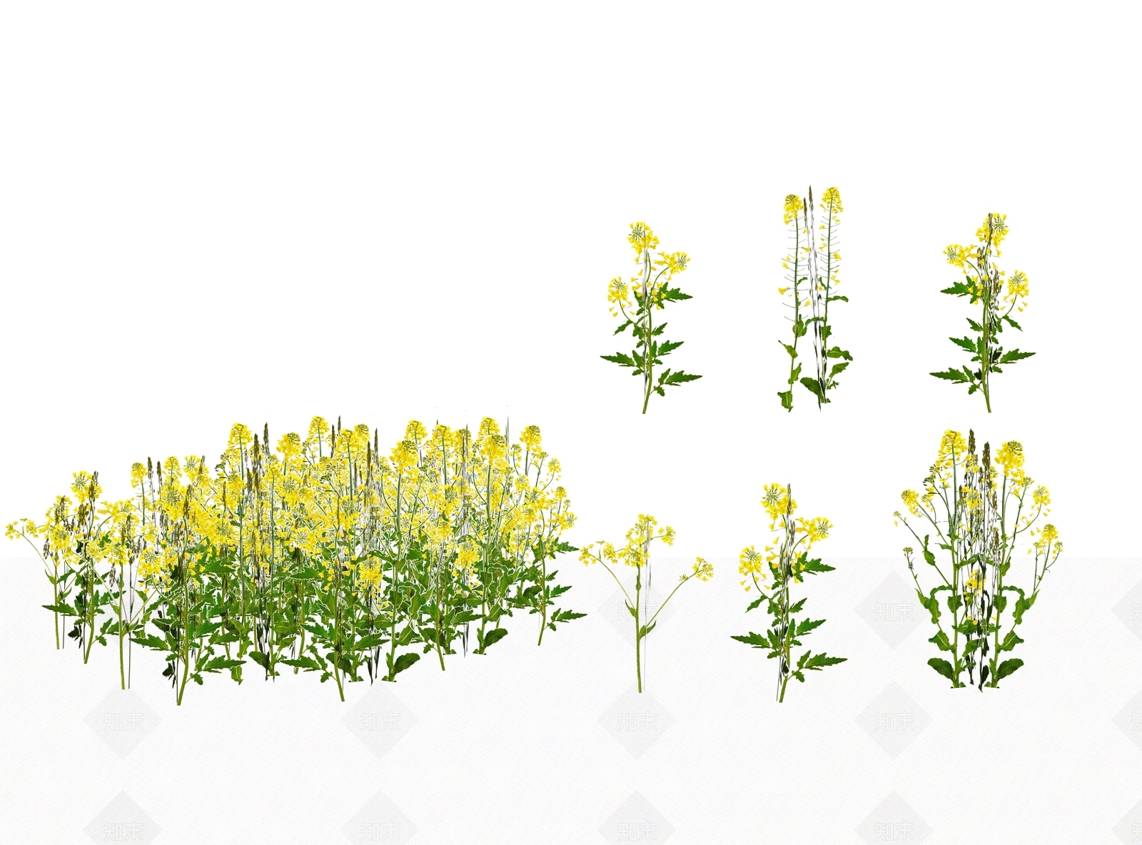 花草SU模型下载【ID:1205361466】