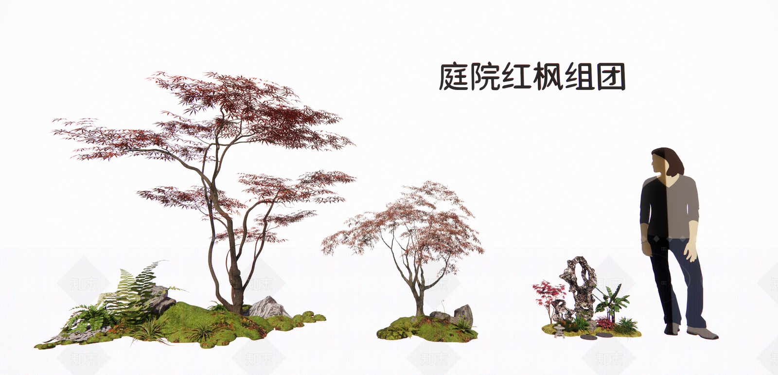 植物组合SU模型下载【ID:1205364901】
